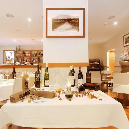 Hotel Baviera Marbella